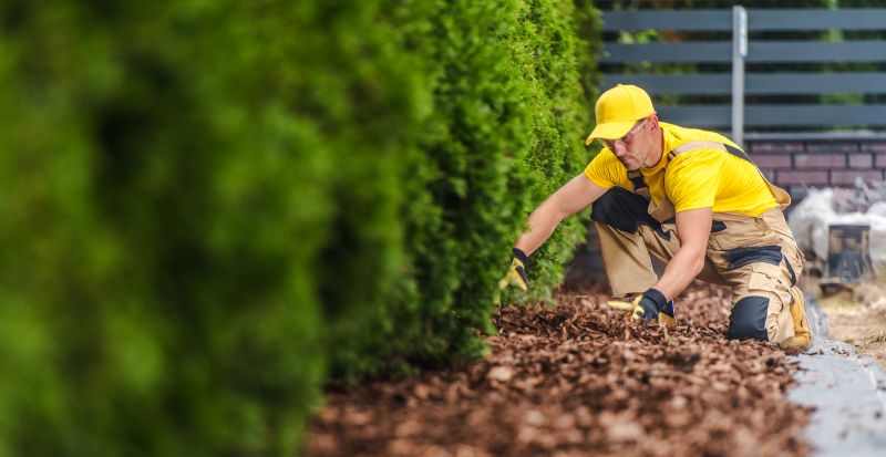 Contact About Mulch Replacement