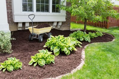 Mulch Reduces Weed Growth and Protects Your Plants!