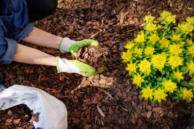 Mulch Improves the Appearance of Your Property!
